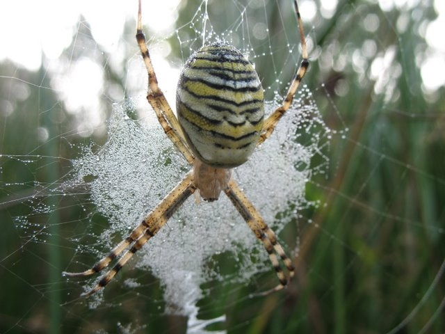 2007 08 Bois de Rochefort 10